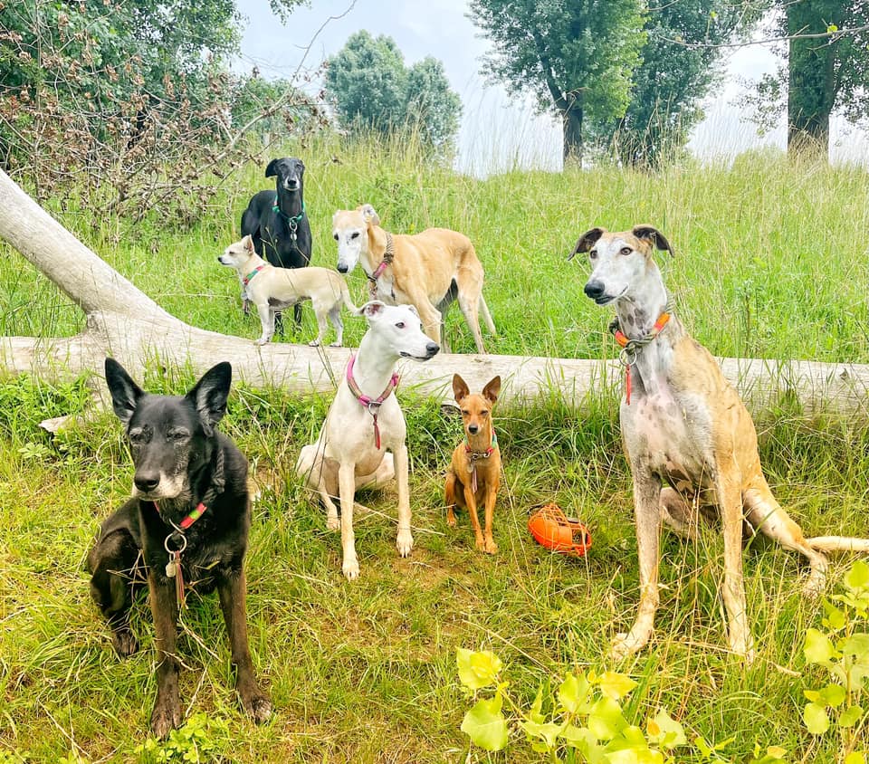 215374812 5751159258259387 5924805907268646810 n