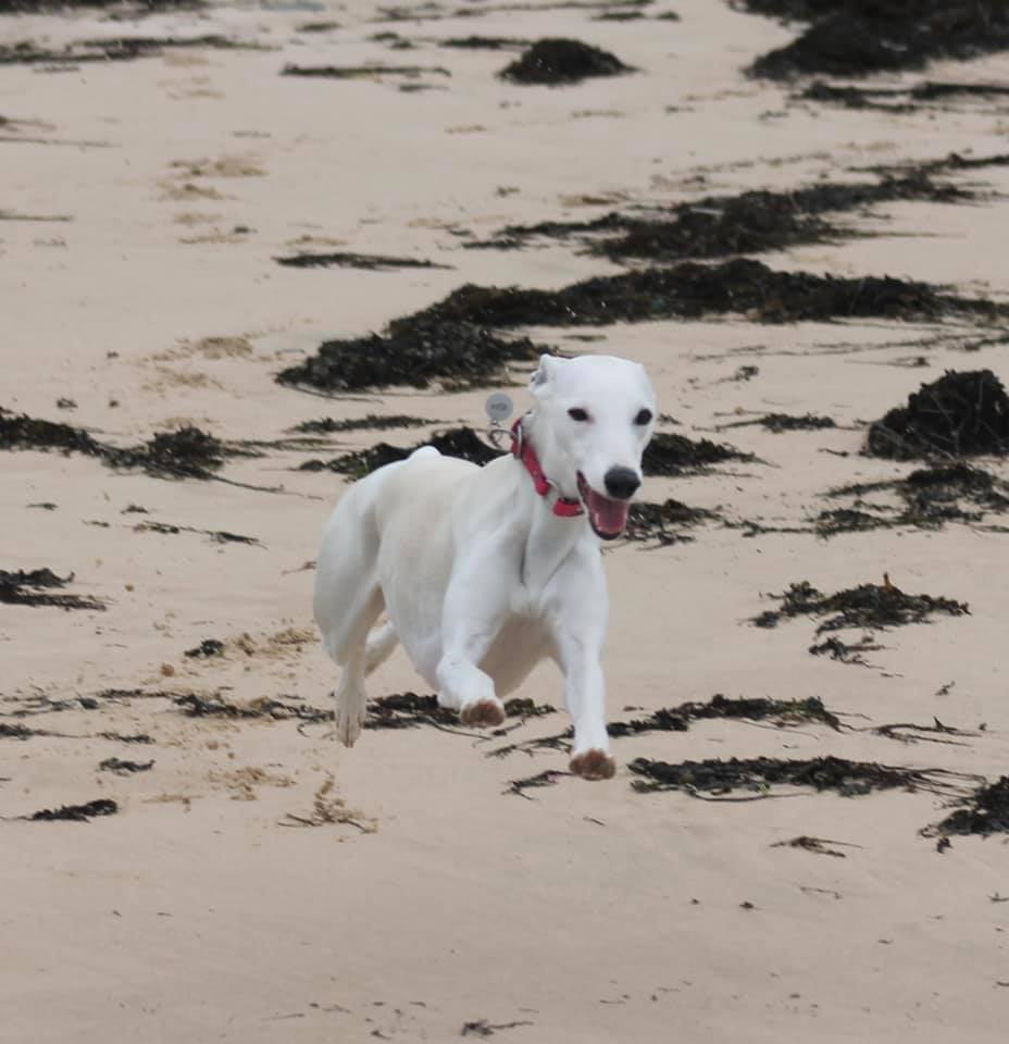 215409543 5751159091592737 2533754808221674162 n