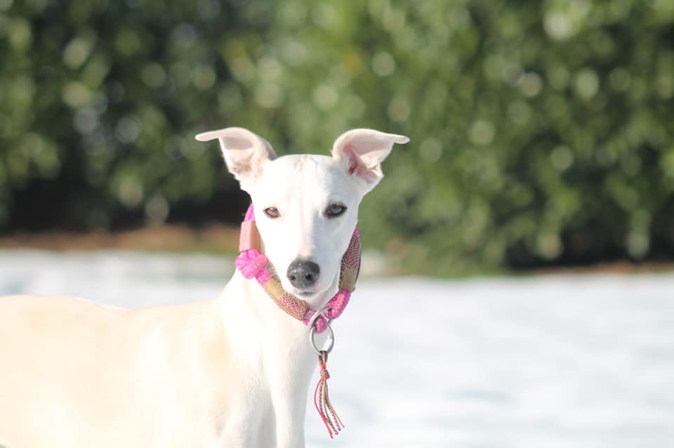 216098431 5751158694926110 8700352391181326233 n