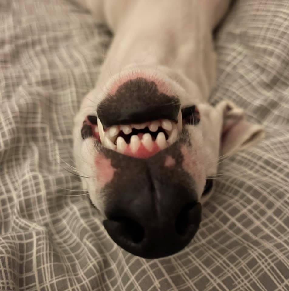 216509741 5751158494926130 1388115581209043258 n