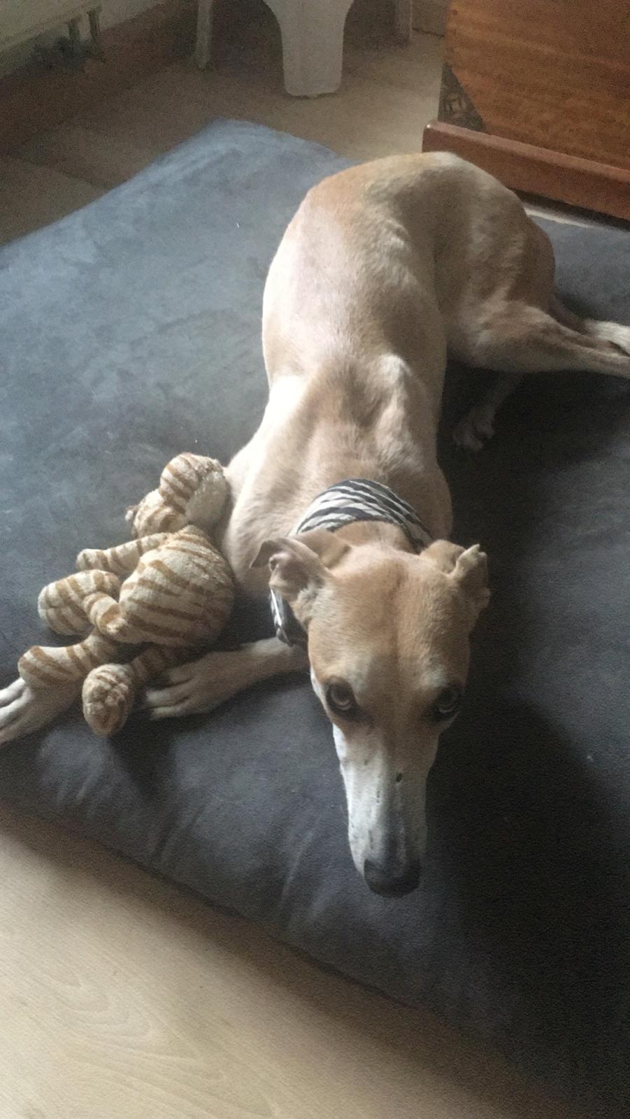 WhatsApp Image 2021 08 10 at 16.13.51 1