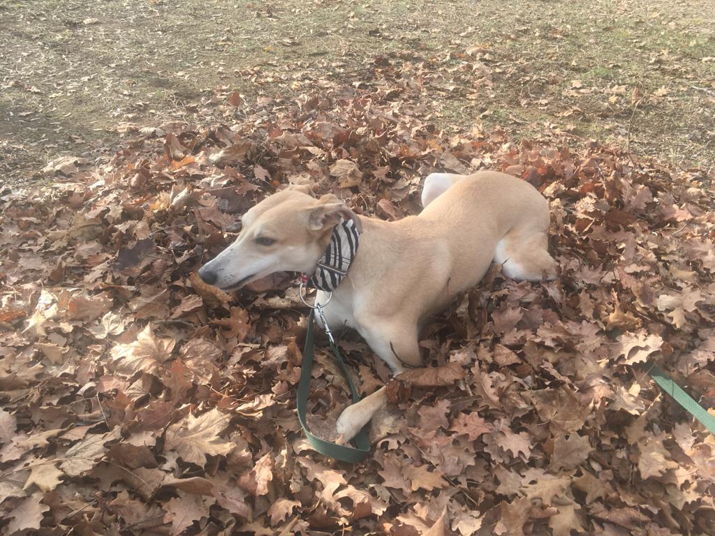 WhatsApp Image 2021 08 10 at 16.13.51 3