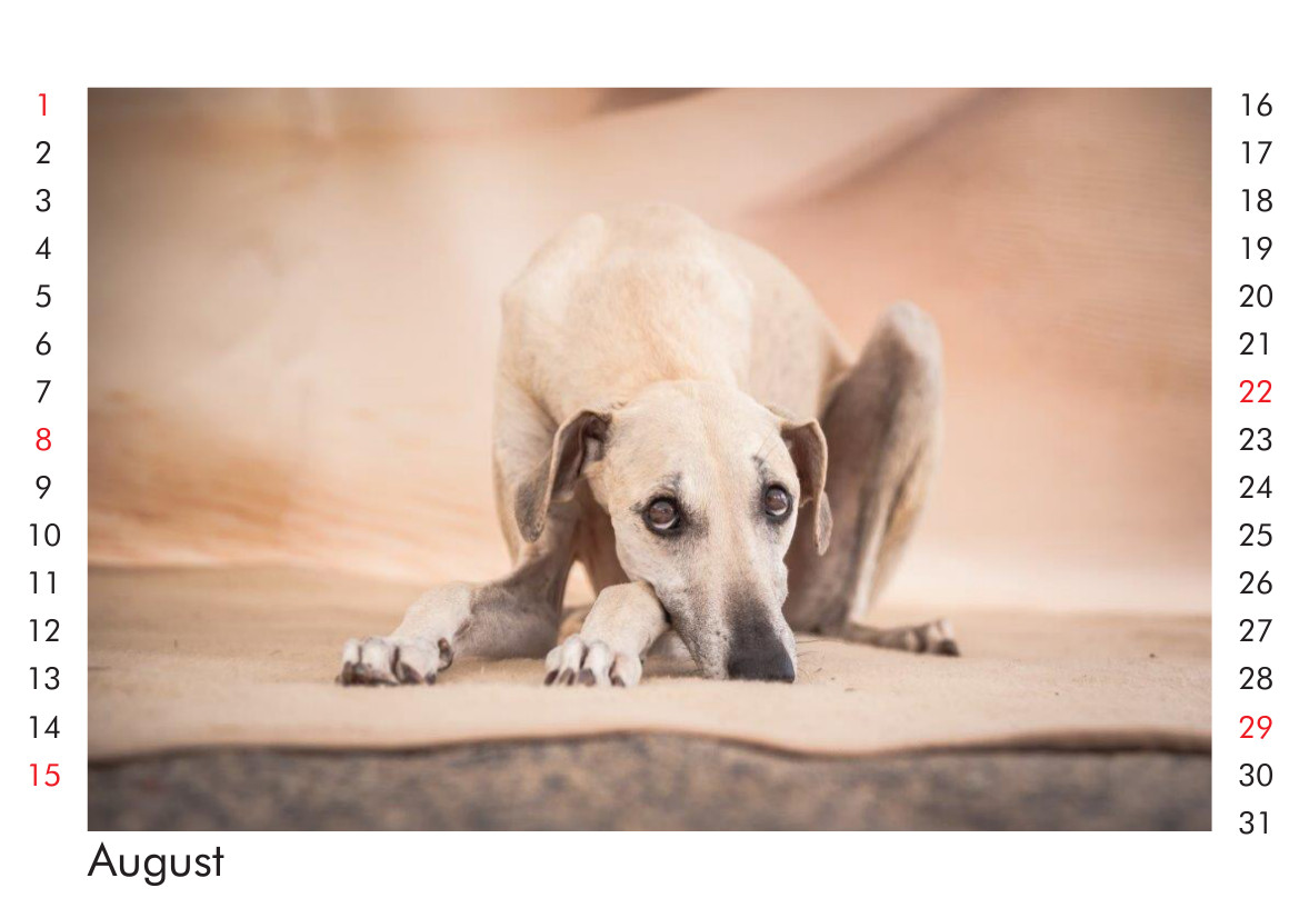 Amaya begrüßt den August