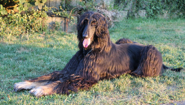 Drei Jahre mit Cheri