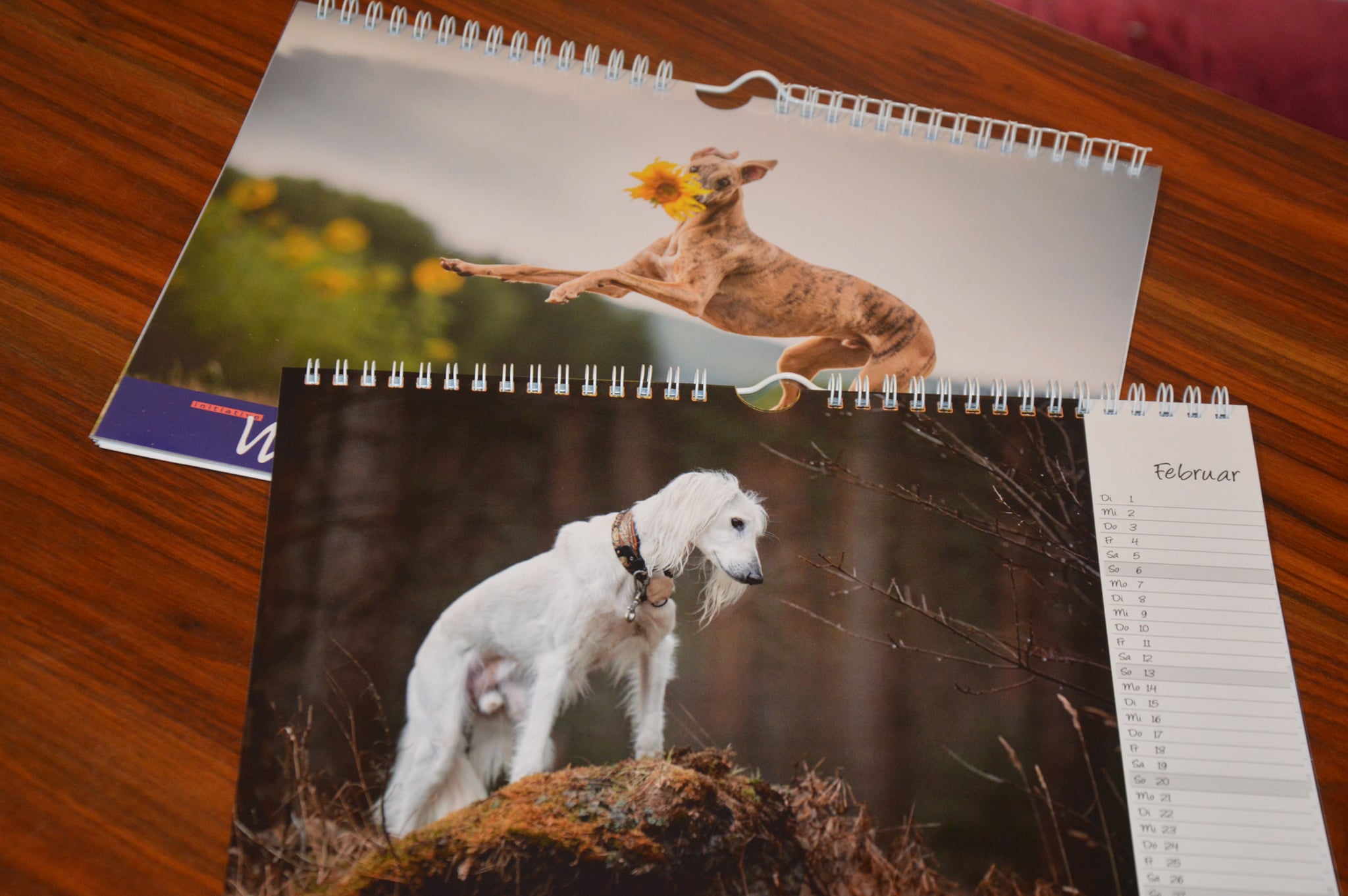 Kalender 2022 ganz frisch