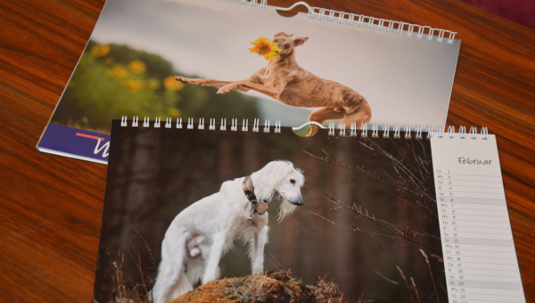 Kalender 2022 ganz frisch