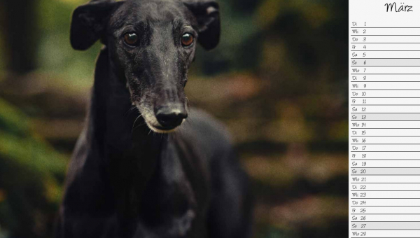 März 2022