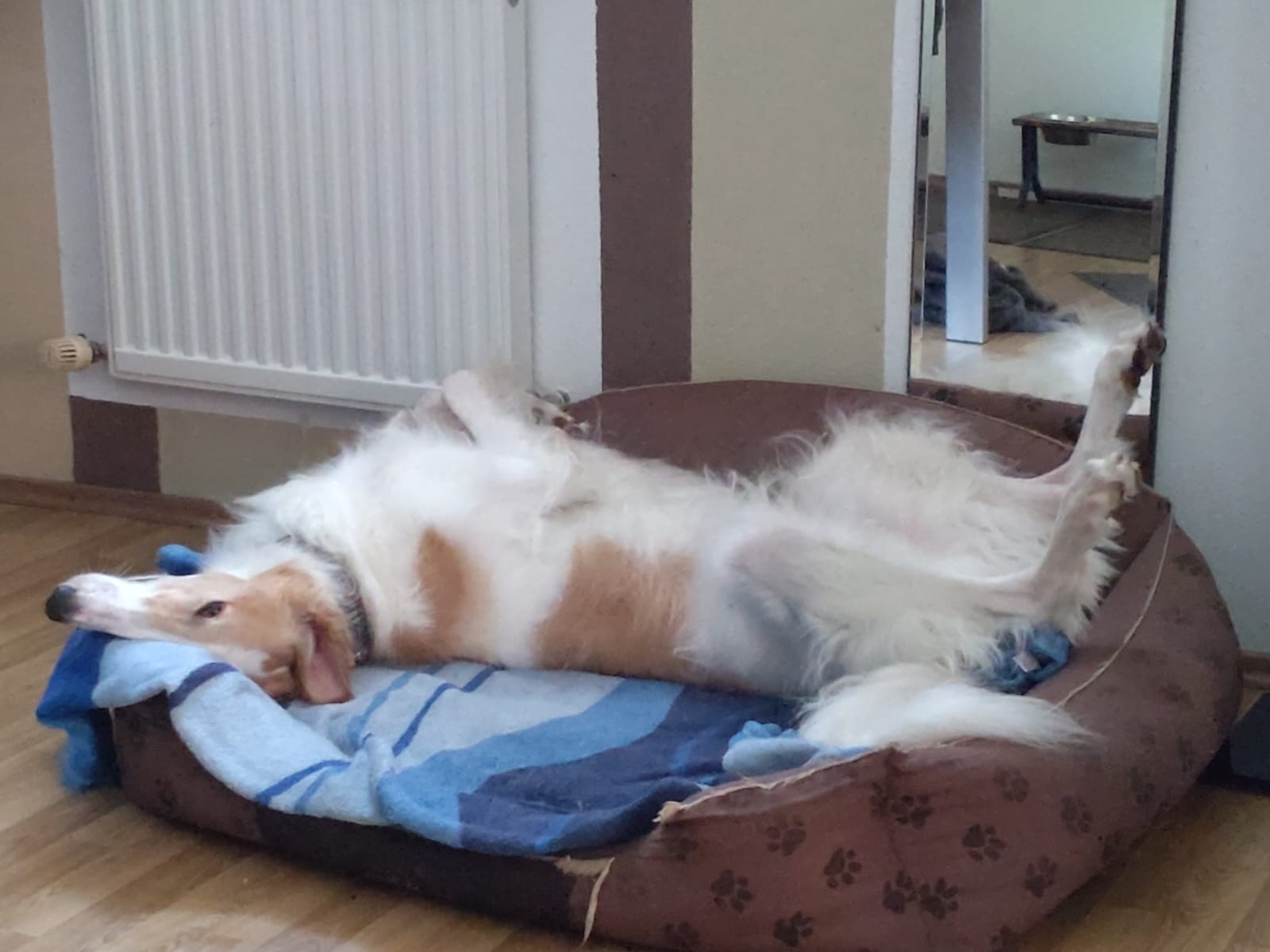 Milan ganz glücklich