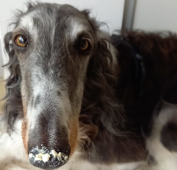 Nelly hat ein großes Paradies gefunden