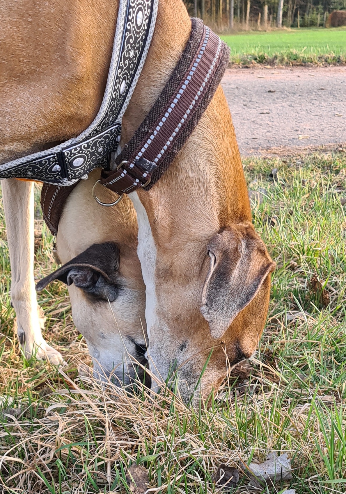 Grüße von Robi & Anique