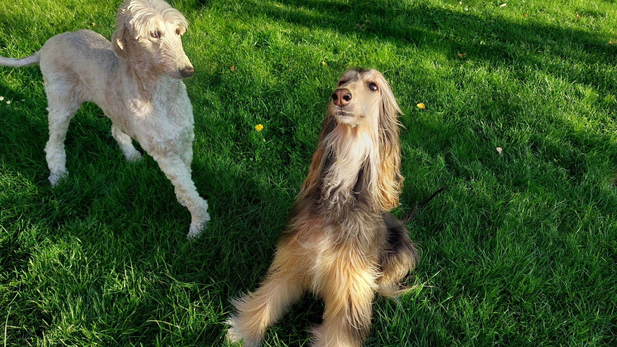 Naomi im neuen Zuhause