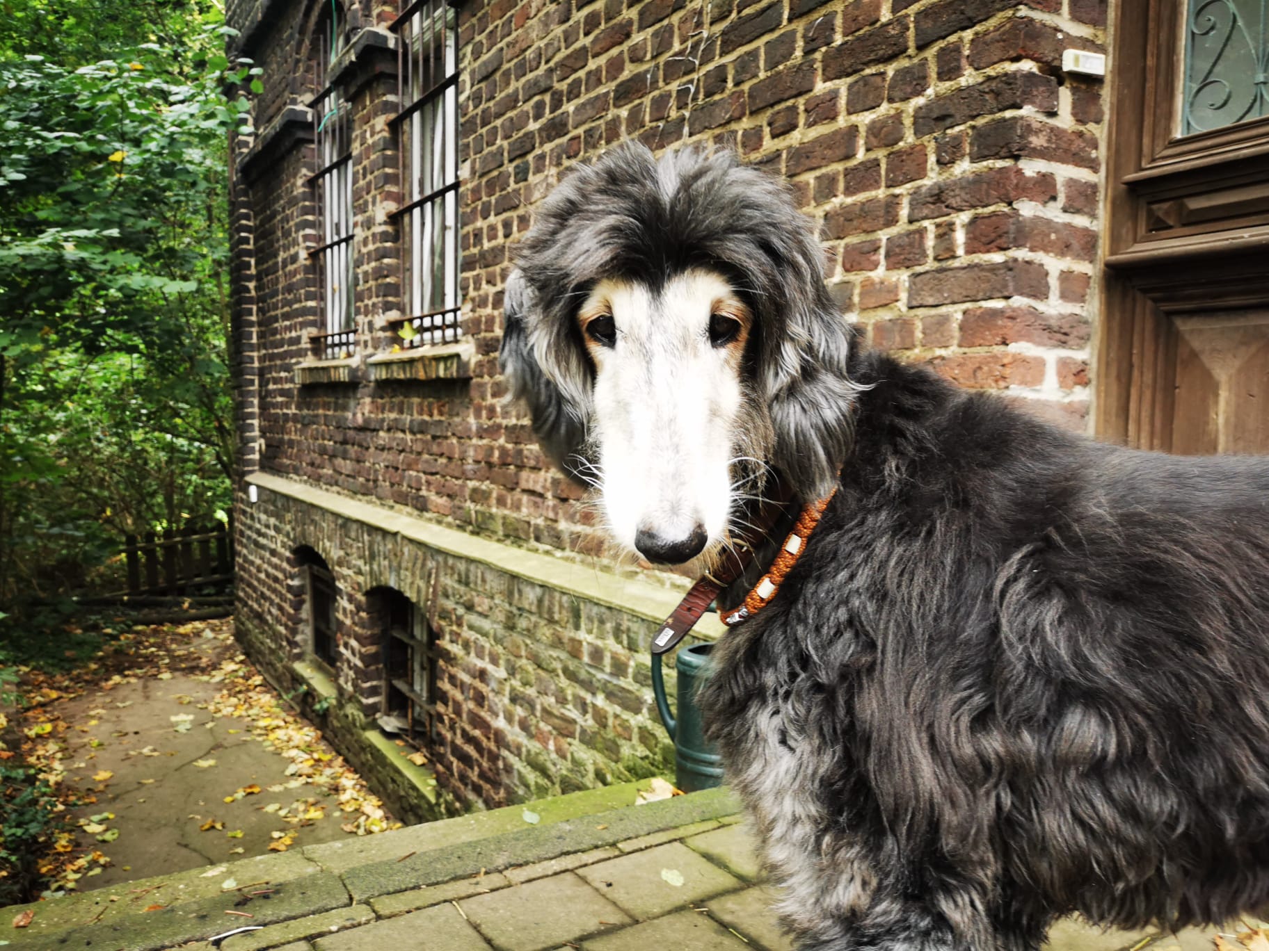 Die schöne Florentine