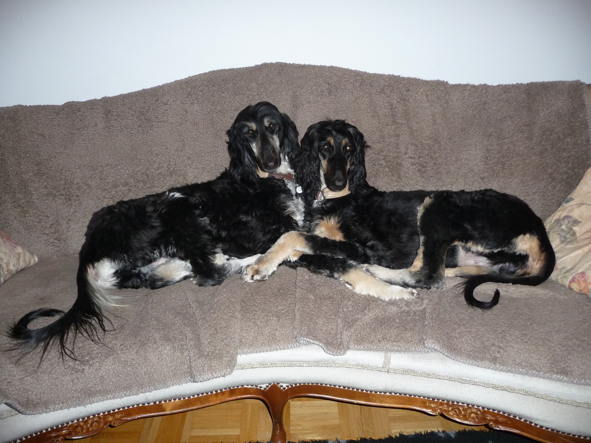 Zwei Chinesen haben Glück