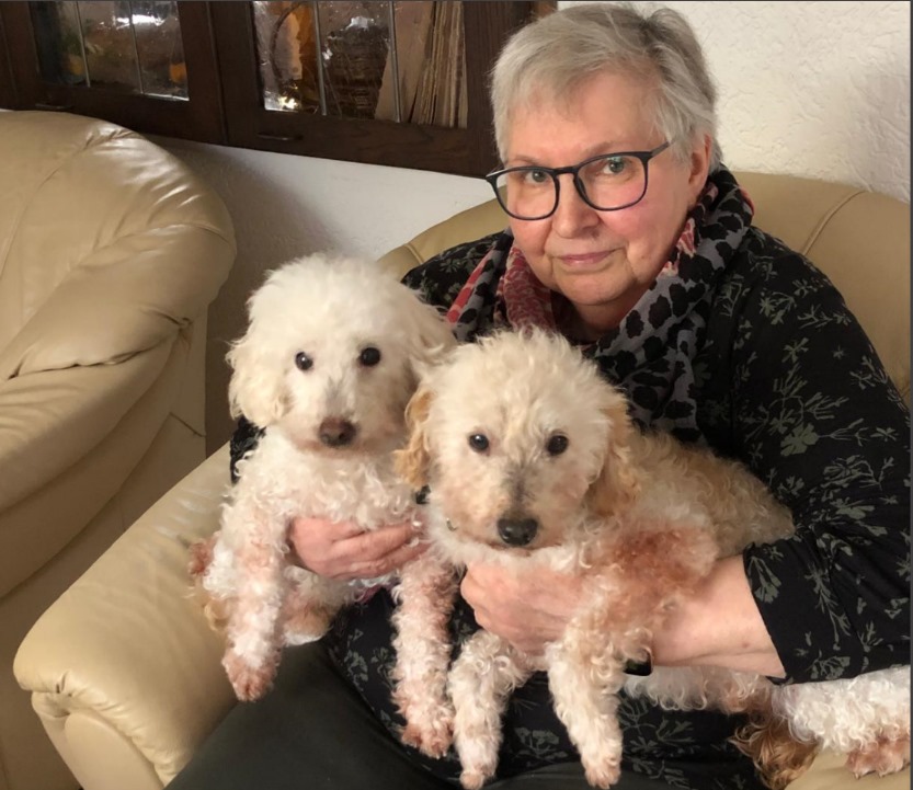 Pudel-Rüden: Andi & Filu