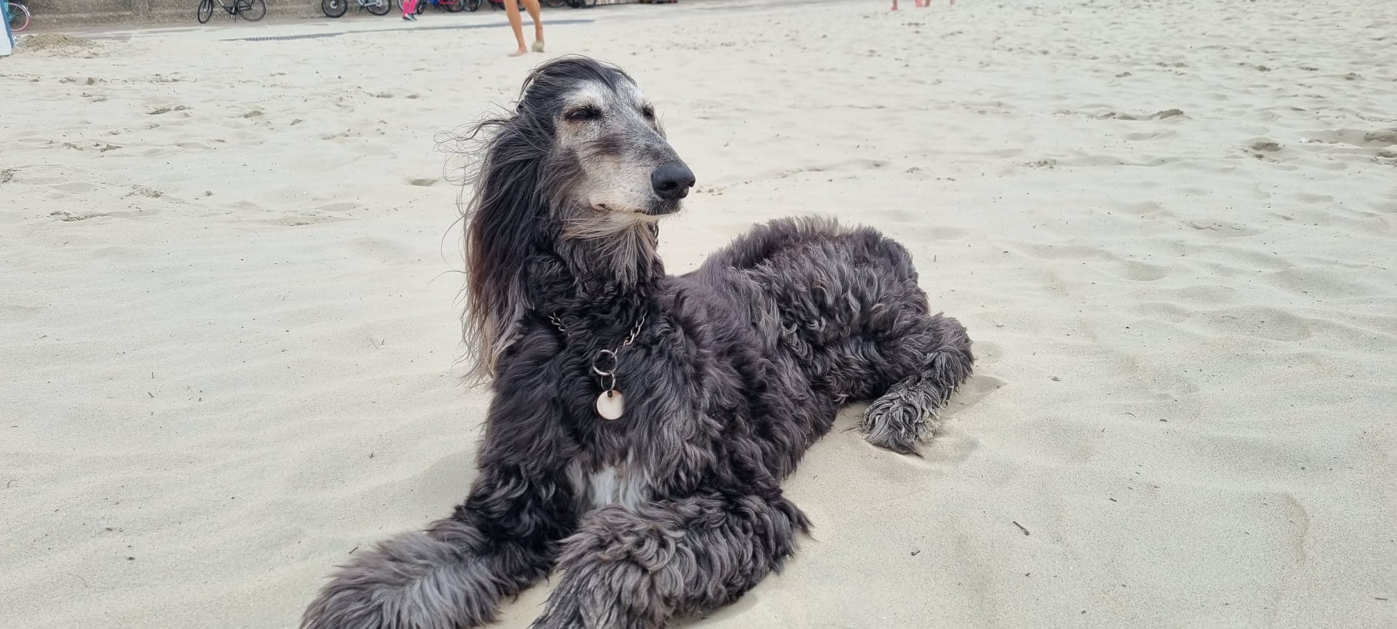 Mach's gut kleine Ronja