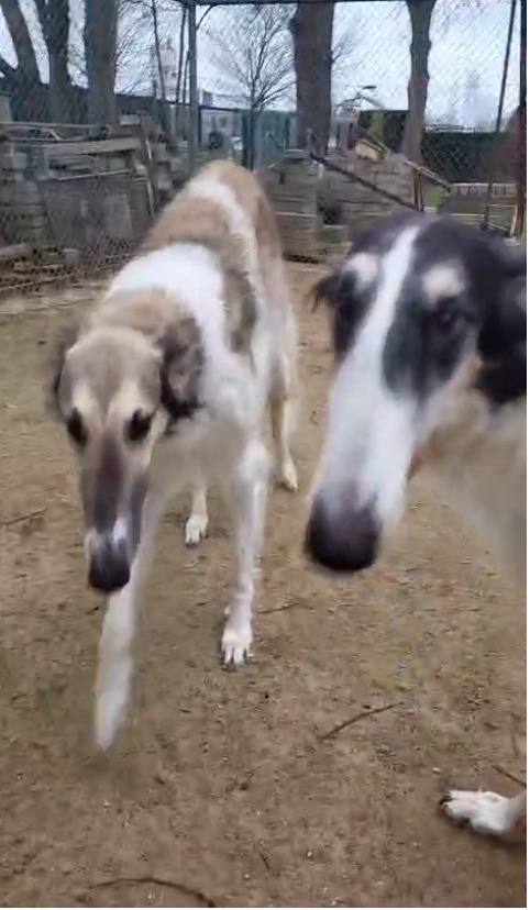 Es ist doch Weihnachten…