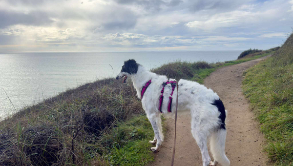 endlich Frühling und unsere Elise