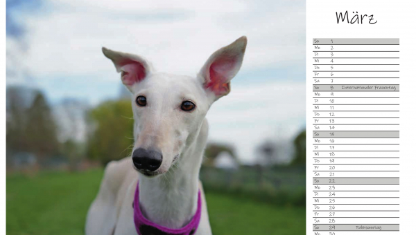 März 2026