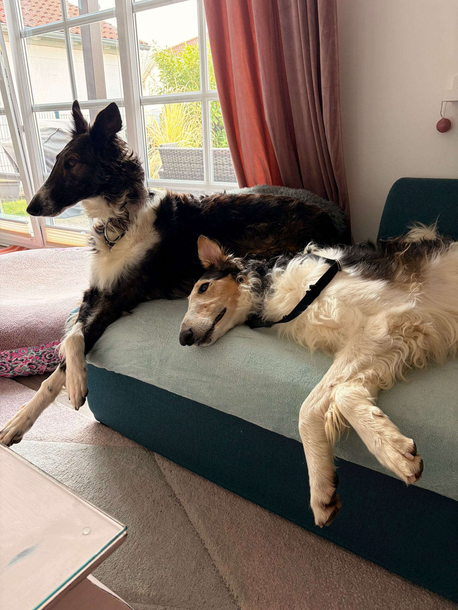 Willkommen bei der iWi