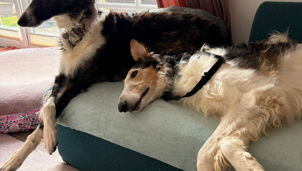 Willkommen bei der iWi