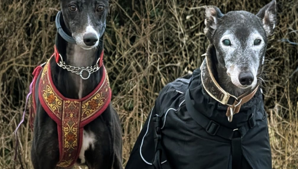 Jack, Ares & Conner (schöne Bilder 4)