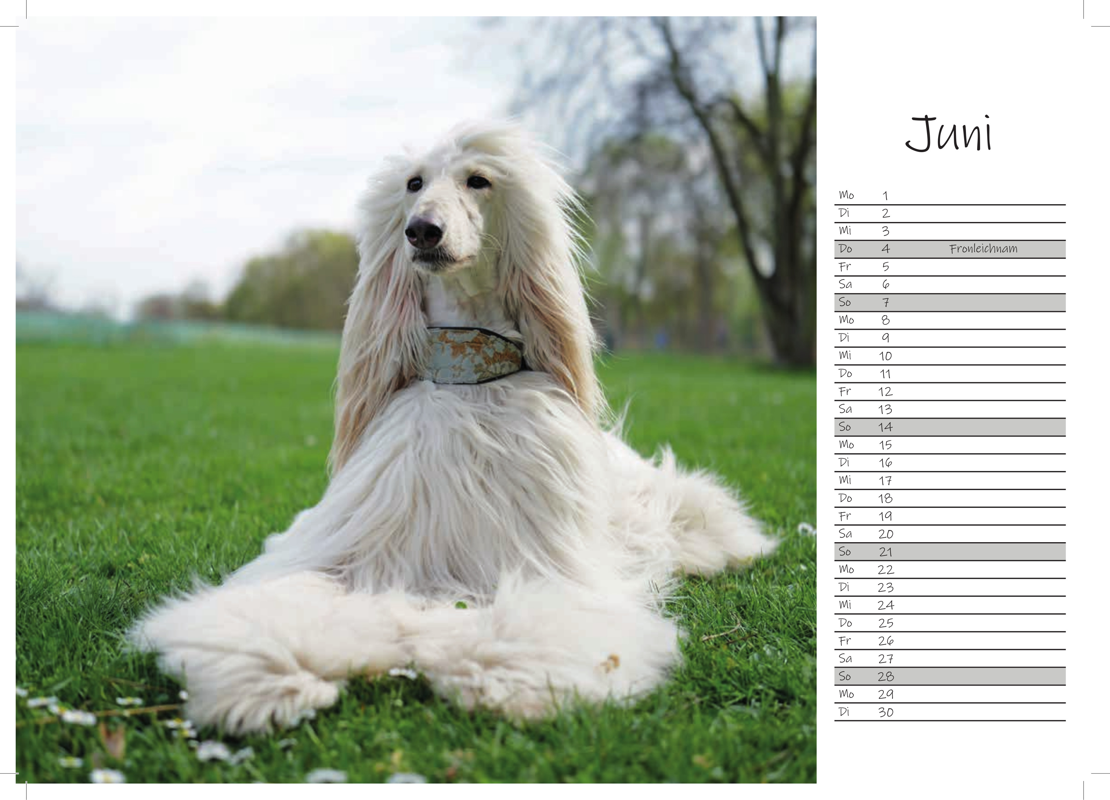 Juni 2026