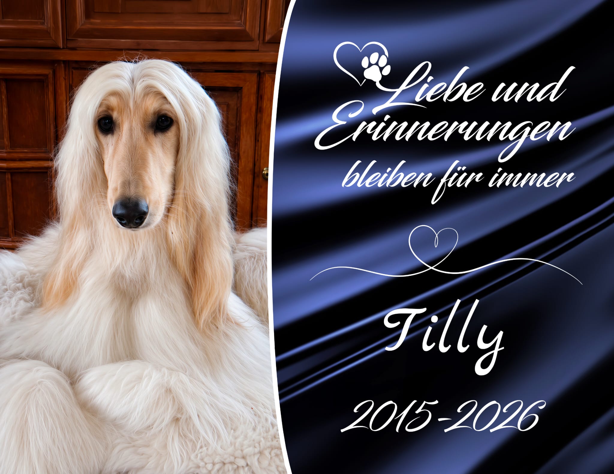 Die schöne Tilly