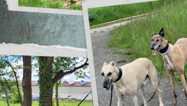 Grüße von Tao (schöne Bilder 5)