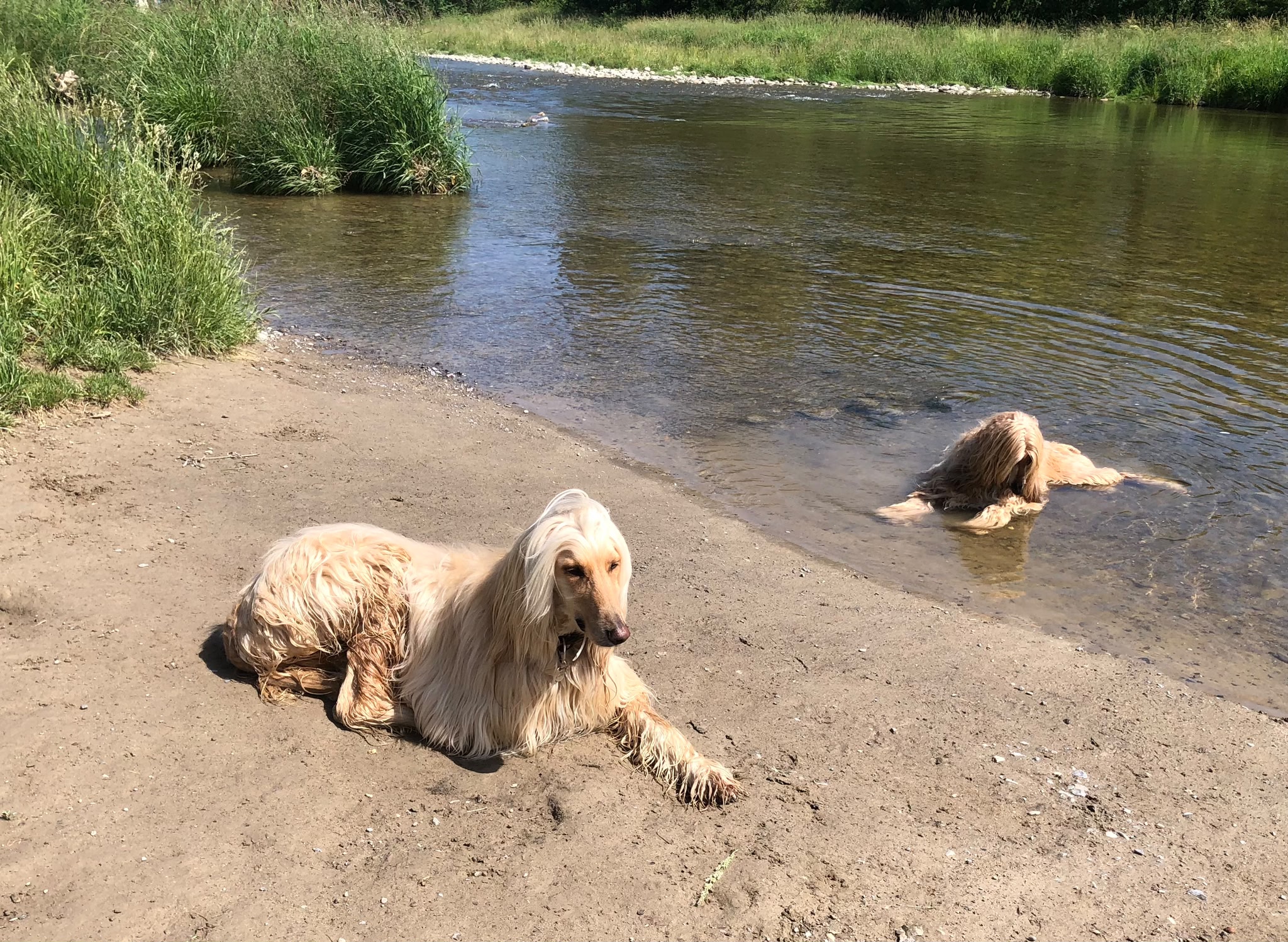 Stewart & Farida  genießen den Sommer (schöne Bilder 6)