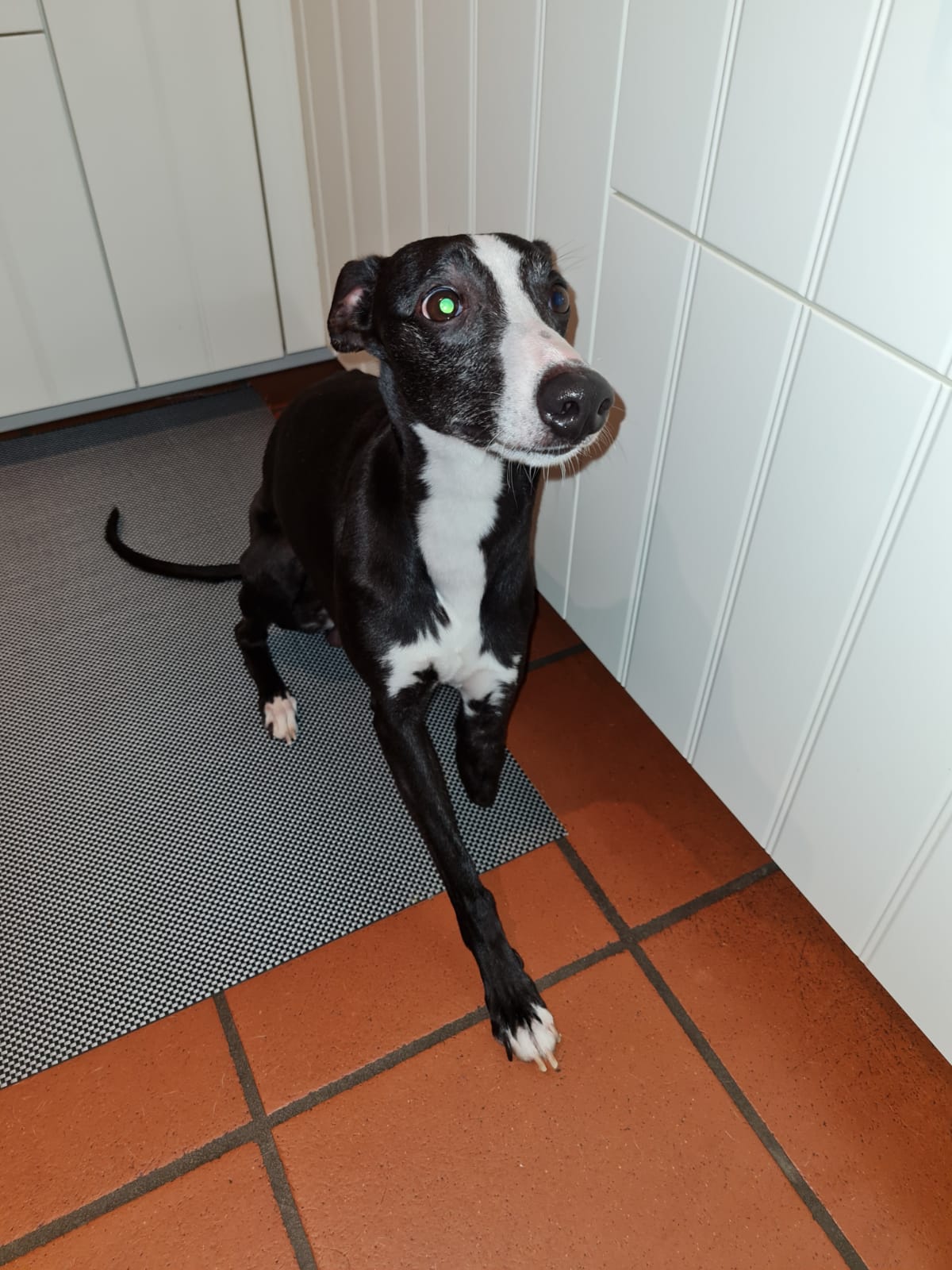 WhatsApp Image 2021 06 28 at 15.33.33