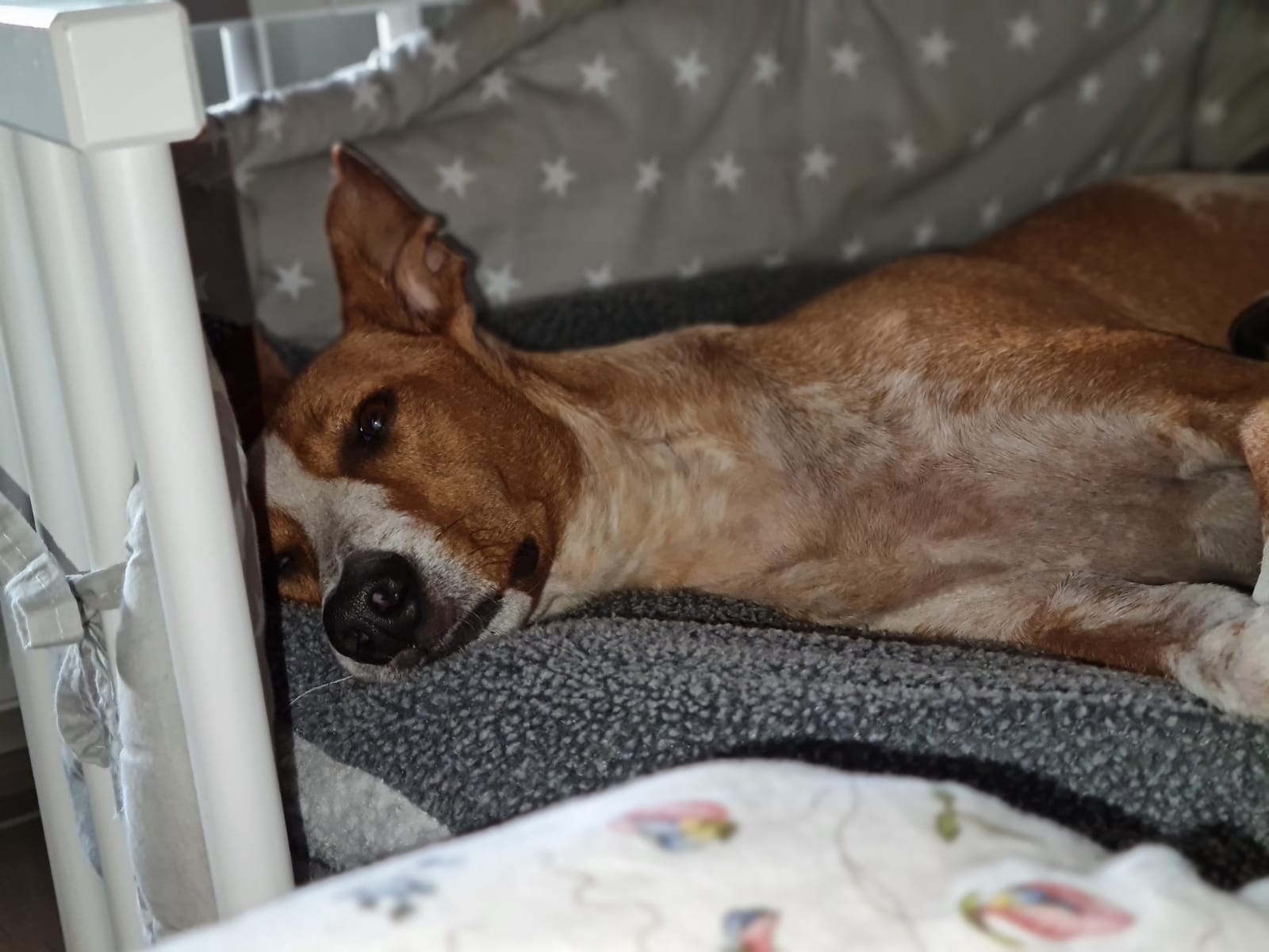 WhatsApp Image 2021 06 30 at 14.02.28 2