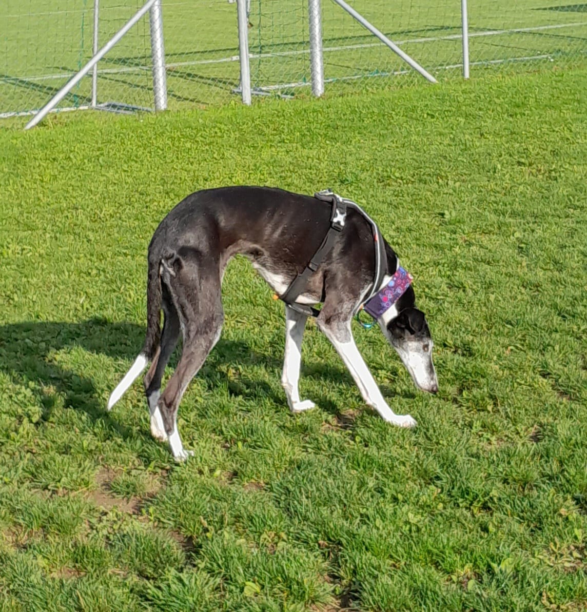 WhatsApp Image 2022 10 19 at 17.29.43