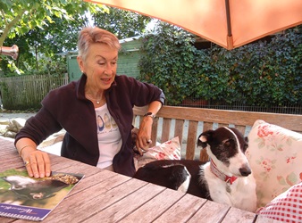 Rauhaargalgo-Hündin: BETTY