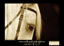 Pferdekunstkalender 2009