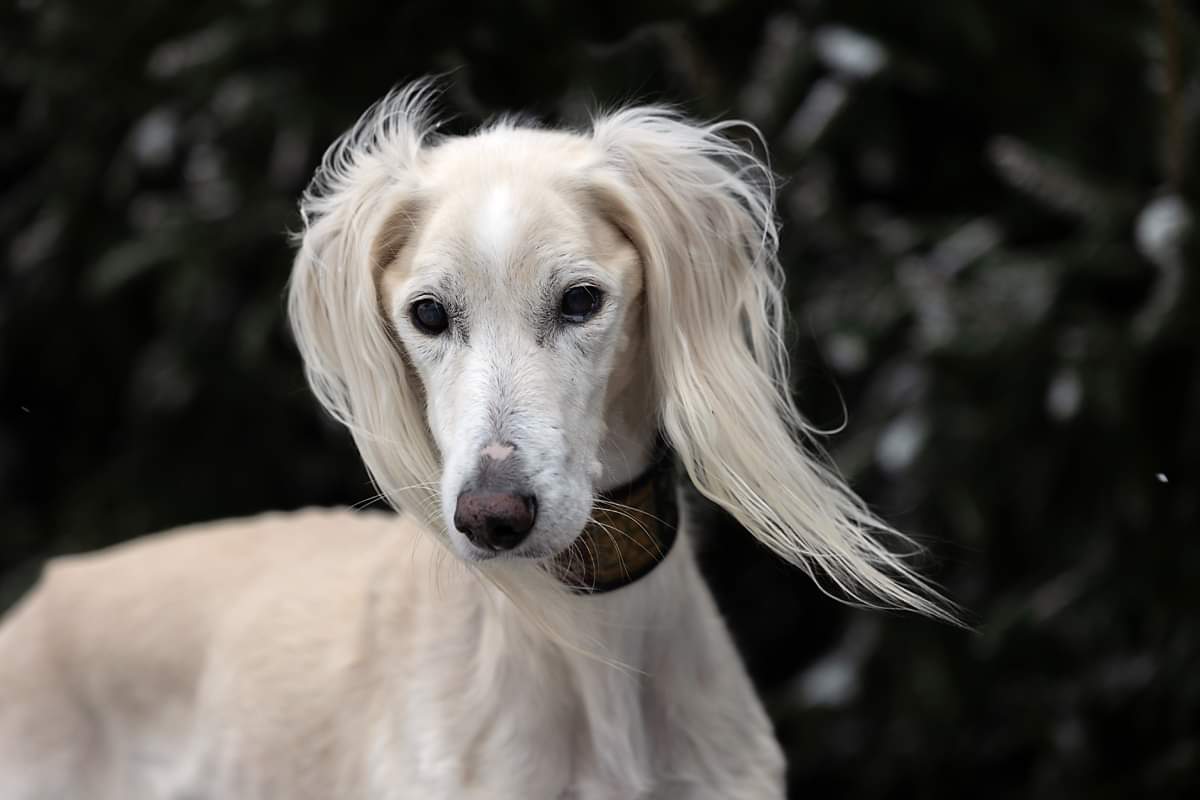 received 445469403823241